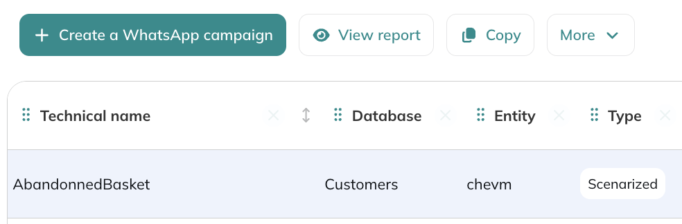 View report from campaign module