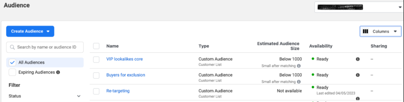 Custom Audiences