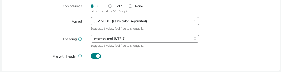 File upload details
