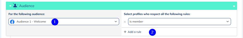 Audience module