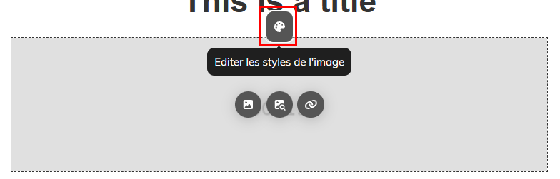 Editer les styles de l'image