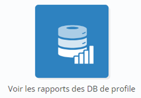 Icone rapports de DB profils