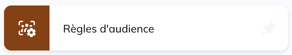 Module Règles d'audience