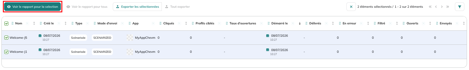 Bouton Voir le rapport pour la sélection