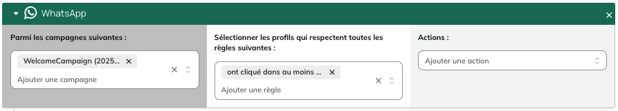 Module WhatsApp